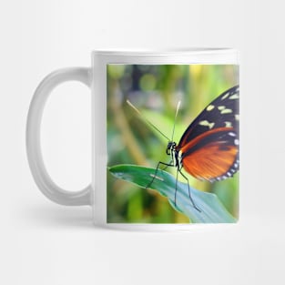 Macro Orange and Black Butterfly Mug